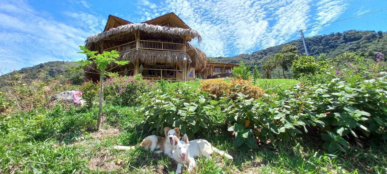 Ecohotel Soplo Del Tambo Cocorna Exterior photo